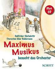 Maximus Musikus besucht das Orchester