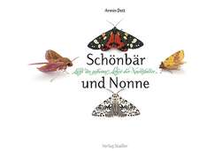 Schönbär und Nonne