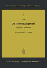 Die Harnstauungsniere: Durchblutung und Funktion