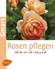 Rosen pflegen