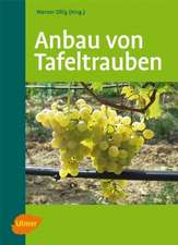 Anbau von Tafeltrauben