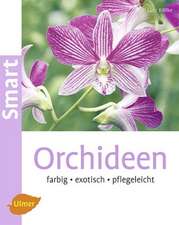 Orchideen