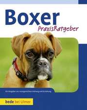 Boxer