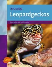 Leopardgeckos