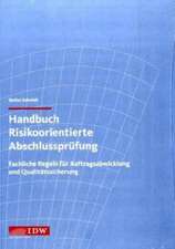 Handbuch Risikoorientierte Abschlussprüfung