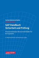 SAP Handbuch Sicherheit und Prüfung