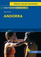 Andorra von Max Frisch - Textanalyse und Interpretation