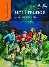 Fünf Freunde Sammelband 03. Drei rätselhafte Fälle