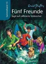 Fünf Freunde Sammelband 13. Jagd auf raffinierte Verbrecher