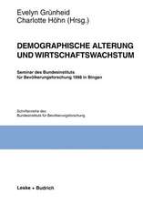 Demographische Alterung und Wirtschaftswachstum: Seminar des Bundesinstituts für Bevölkerungsforschung 1998 in Bingen