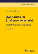 OWi-Sachen im Straßenverkehrsrecht