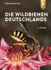 Die Wildbienen Deutschlands