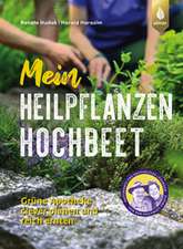 Mein Heilpflanzen-Hochbeet