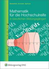 Mathematik für die Hochschulreife in beruflichen Bildungsgängen