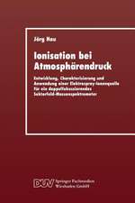 Ionisation bei Atmosphärendruck: Entwicklung, Charakterisierung und Anwendung einer Elektrospray-Ionenquelle für ein doppelfokussierendes Sektorfeld-Massenspektrometer