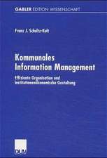 Kommunales Information Management: Effiziente Organisation und institutionenökonomische Gestaltung