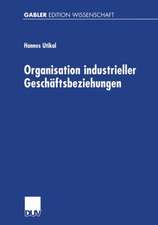 Organisation industrieller Geschäftsbeziehungen: Strategie — Struktur — Effizienz