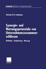 Synergie- und Nutzungspotenziale von Unternehmenszusammenschlüssen: Definition — Realisierung — Messung