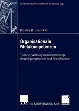 Organisationale Metakompetenzen: Theorie, Wirkungszusammenhänge, Ausprägungsformen und Identifikation