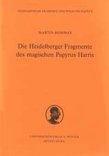 Die Heidelberger Fragmente Des Magischen Papyrus Harris: Dialoglinguistische Studien Zu Terenz