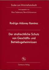 Der strafrechtliche Schutz von Geschäfts- und Betriebsgeheimnissen