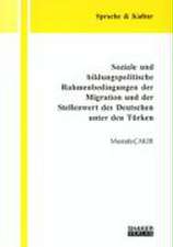 Soziale und bildungspolitische Rahmenbedingungen der Migration und der Stellenwert des Deutschen unter den Türken