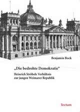 Die bedrohte Demokratie