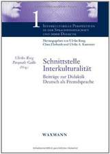 Schnittstelle Interkulturalität