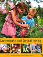 Löwenzahn und Schmetterling