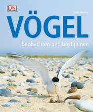 Vögel beobachten und bestimmen