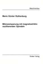 Mikrozerspanung mit magnetostriktiv oszillierenden Spindeln