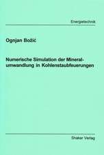 Numerische Simulation der Mineralumwandlung in Kohlenstaubfeuerungen