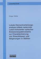 Lokale Elementverteilungsanalyse mittels rasternder Laser-induzierter optischer Emissionsspektrometrie zur Charakterisierung von Einschlüssen und Seigerungen in Stählen