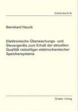 Elektronische Überwachungs- und Steuergeräte zum Erhalt der aktuellen Qualität vielzelliger elektrochemischer Speichersysteme