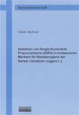 Detektion von Single Nucleotide Polymorphisms (SNPs) in molekularen Markern für Resistenzgene der Gerste (Hordeum vulgare L.)