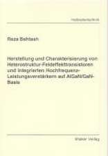 Herstellung und Charakterisierung von Heterostruktur-Feldeffekttransistoren und integrierten Hochfrequenz-Leistungsverstärkern auf AlGaN/GaN-Basis