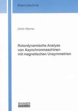 Rotordynamische Analyse von Asynchronmaschinen mit magnetischen Unsymmetrien