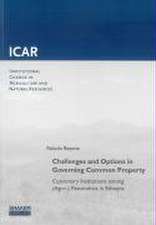 Challenges and Options in Governing Common Property