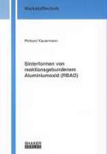 Sinterformen von reaktionsgebundenem Aluminiumoxid (RBAO)