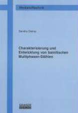 Charakterisierung und Entwicklung von bainitischen Multiphasen-Stählen