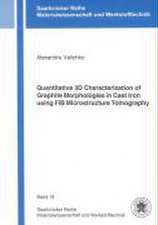 Quantitative 3D Characterization of Graphite Morphologies in Cast Iron using FIB Microstructure Tomography