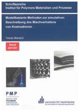 Modellbasierte Methoden zur simulativen Beschreibung des Mischverhaltens von Knetreaktoren