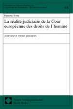 La réalité judiciaire de la Cour européenne des droits de l-homme