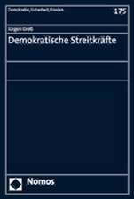 Demokratische Streitkrafte: Tagungsband Des Instituts Fur Friedenssicherung Und Konfliktmanagement, Wie