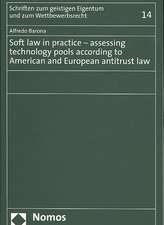 Soft law in practice - assessing technology pools according to American and European antitrust law