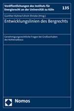 Entwicklungslinien des Bergrechts