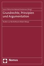 Grundrechte, Prinzipien Und Argumentation: Studien Zur Rechtstheorie Robert Alexys