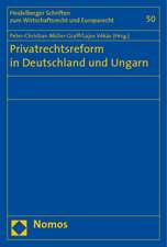 Privatrechtsreform in Deutschland und Ungarn