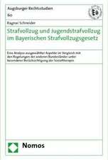 Strafvollzug und Jugendstrafvollzug im Bayerischen Strafvollzugsgesetz