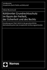 Kohärenter Grundrechtsschutz im Raum der Freiheit, der Sicherheit und des Rechts